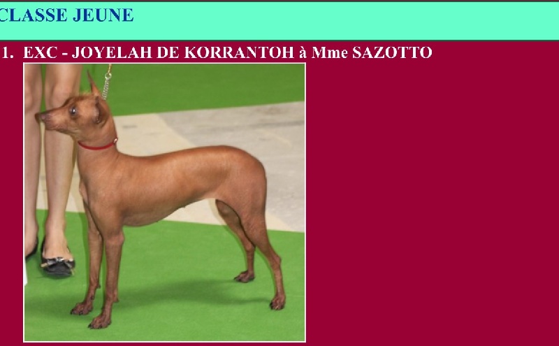 Joyelah De korrantoh