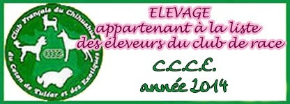 Élevage membre du club de race